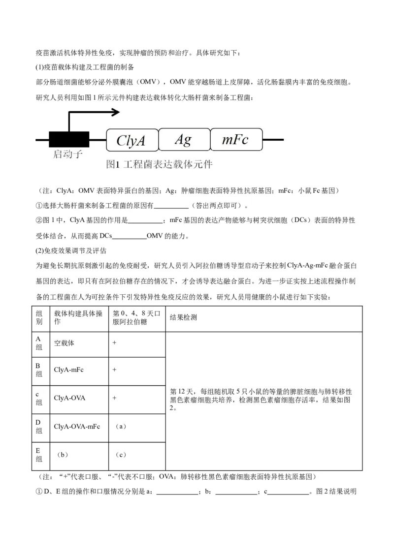 专题43基因工程（解析版）_2024年新高考资料_3.2024专项复习_备战2024年高考生物一轮复习重难点专项突破_专题43基因工程-备战2024年高考生物一轮复习重难点专项突破