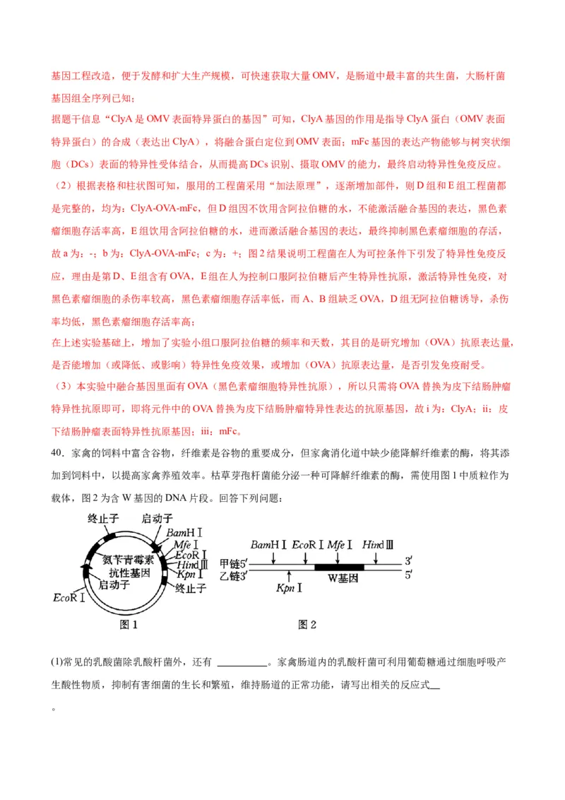 专题43基因工程（解析版）_2024年新高考资料_3.2024专项复习_备战2024年高考生物一轮复习重难点专项突破_专题43基因工程-备战2024年高考生物一轮复习重难点专项突破