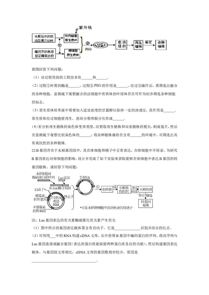 2022届高考生物二轮复习专题综合练（十）：现代生物科技（有解析）_新高考复习资料_2022年新高考复习资料_2022届高考生物二轮复习专题综合练（含解析）