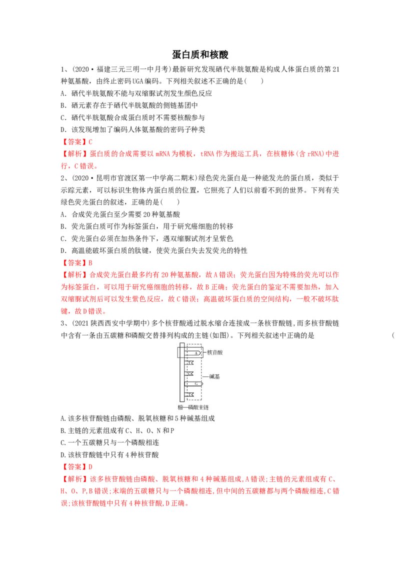专题03蛋白质和核酸（精练）（解析版）_2024年新高考资料_1.2024一轮复习_备战2024年高考生物一轮复习串讲精练（新高考专用）