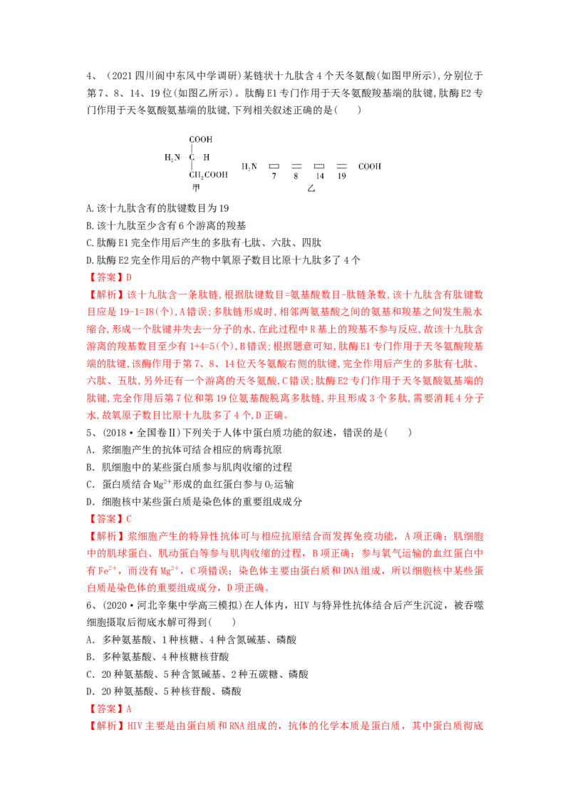 专题03蛋白质和核酸（精练）（解析版）_2024年新高考资料_1.2024一轮复习_备战2024年高考生物一轮复习串讲精练（新高考专用）