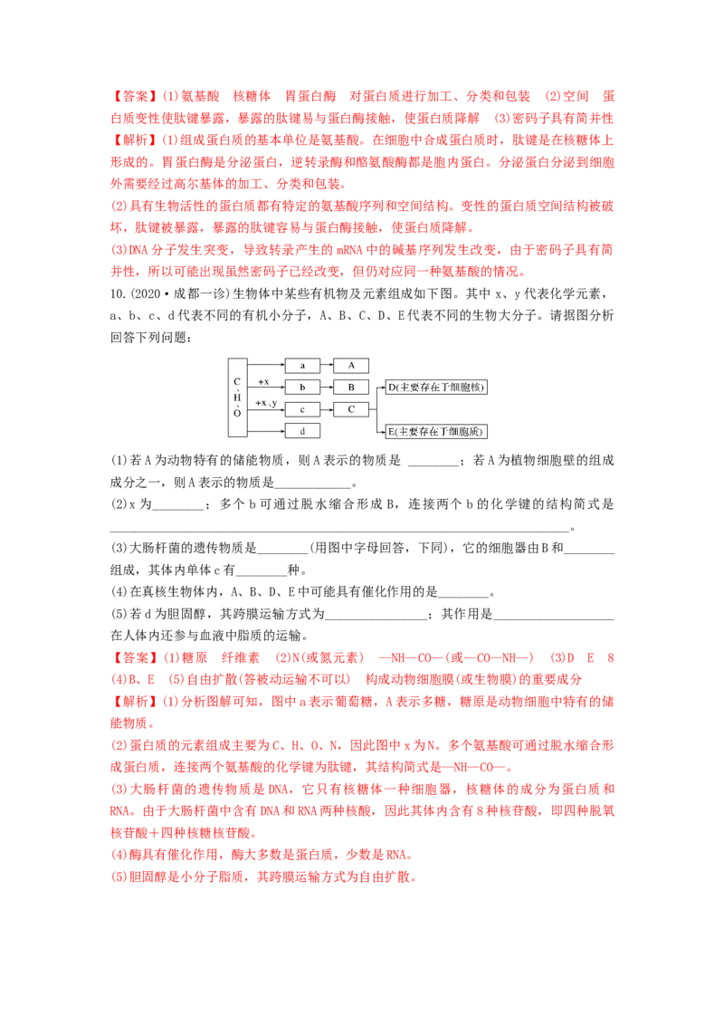 专题03蛋白质和核酸（精练）（解析版）_2024年新高考资料_1.2024一轮复习_备战2024年高考生物一轮复习串讲精练（新高考专用）