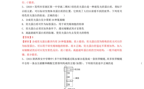 专题03蛋白质和核酸（精练）（解析版）_2024年新高考资料_1.2024一轮复习_备战2024年高考生物一轮复习串讲精练（新高考专用）