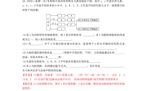 专题03蛋白质和核酸（精练）（解析版）_2024年新高考资料_1.2024一轮复习_备战2024年高考生物一轮复习串讲精练（新高考专用）