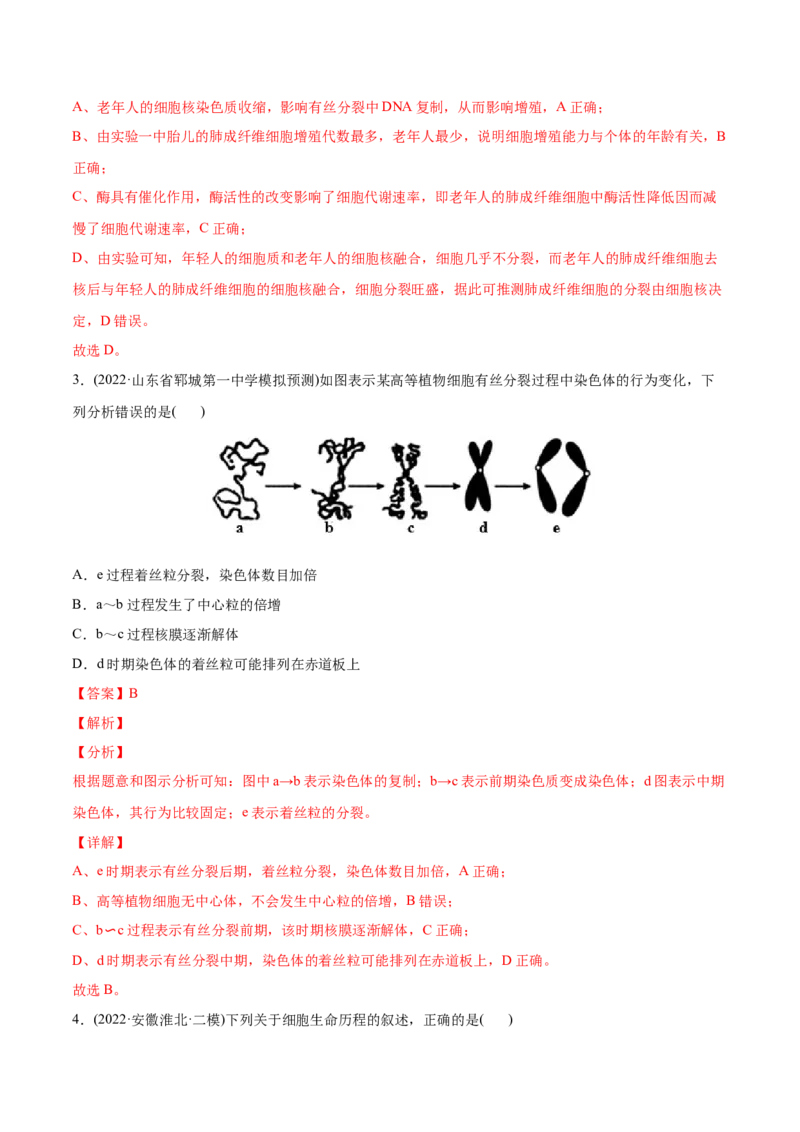 专题04细胞的生命历程（包括减数分裂）-2022年高考真题和模拟题生物分专题训练（教师版含解析）_2024年新高考资料_1.2024一轮复习_赠2022年高考生物真题与模拟题分类