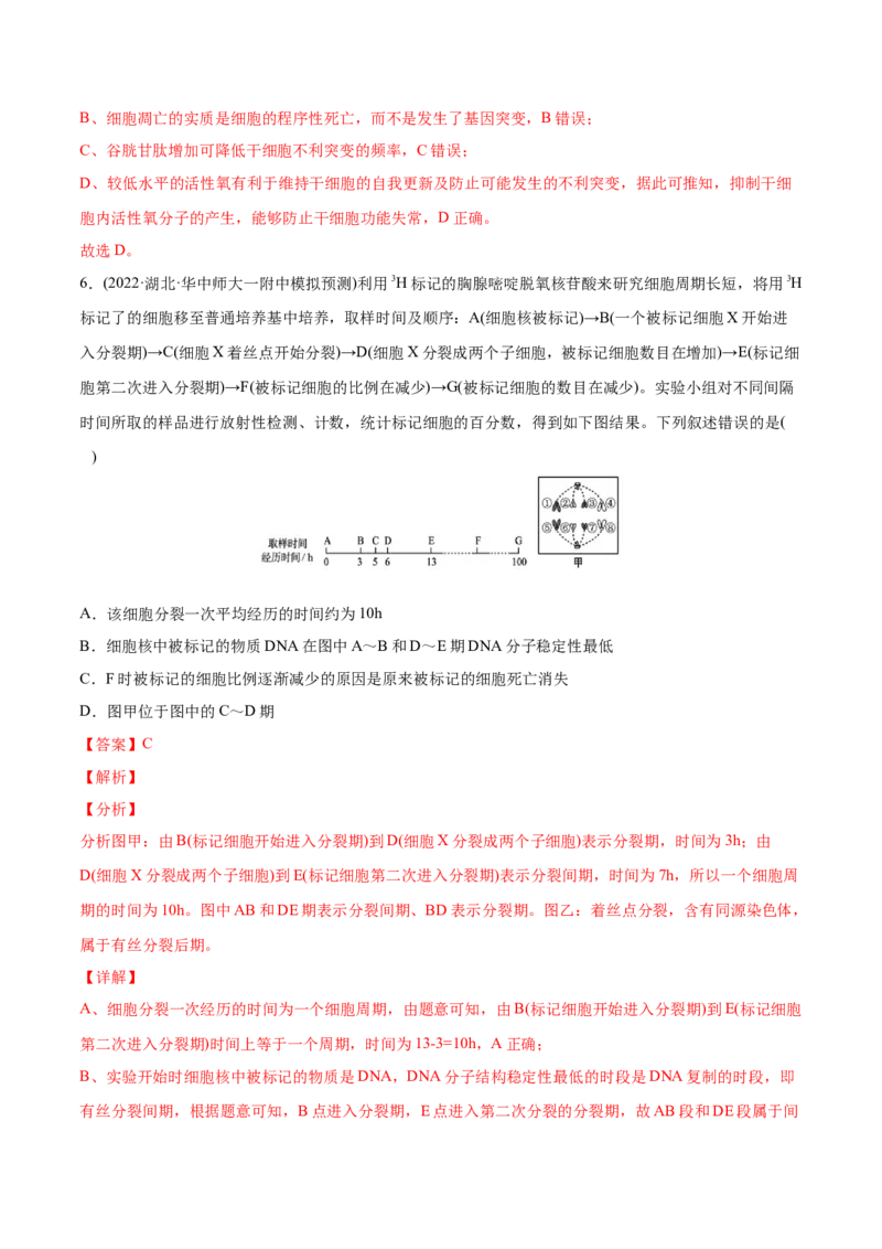 专题04细胞的生命历程（包括减数分裂）-2022年高考真题和模拟题生物分专题训练（教师版含解析）_2024年新高考资料_1.2024一轮复习_赠2022年高考生物真题与模拟题分类