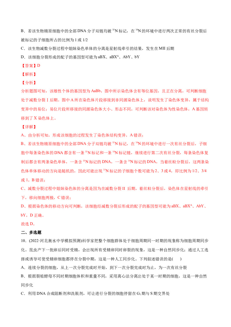 专题04细胞的生命历程（包括减数分裂）-2022年高考真题和模拟题生物分专题训练（教师版含解析）_2024年新高考资料_1.2024一轮复习_赠2022年高考生物真题与模拟题分类