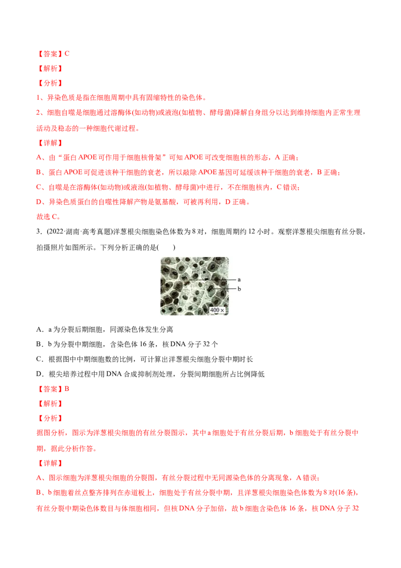 专题04细胞的生命历程（包括减数分裂）-2022年高考真题和模拟题生物分专题训练（教师版含解析）_2024年新高考资料_1.2024一轮复习_赠2022年高考生物真题与模拟题分类
