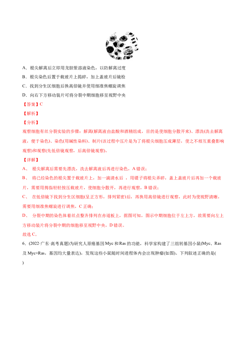 专题04细胞的生命历程（包括减数分裂）-2022年高考真题和模拟题生物分专题训练（教师版含解析）_2024年新高考资料_1.2024一轮复习_赠2022年高考生物真题与模拟题分类
