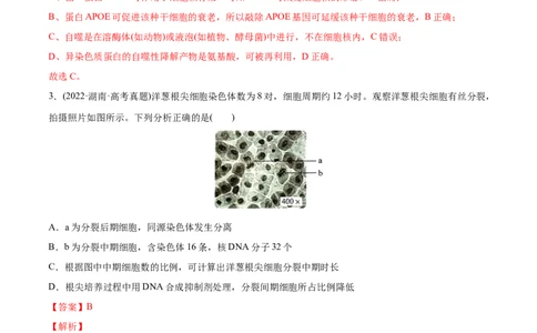 专题04细胞的生命历程（包括减数分裂）-2022年高考真题和模拟题生物分专题训练（教师版含解析）_2024年新高考资料_1.2024一轮复习_赠2022年高考生物真题与模拟题分类