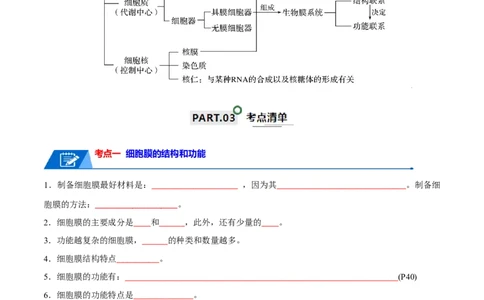 宝典02细胞的结构和功能（3考点+2易错点）（原卷版）_2024年新高考资料_1.2024一轮复习_2024年高考生物一轮复习知识清单