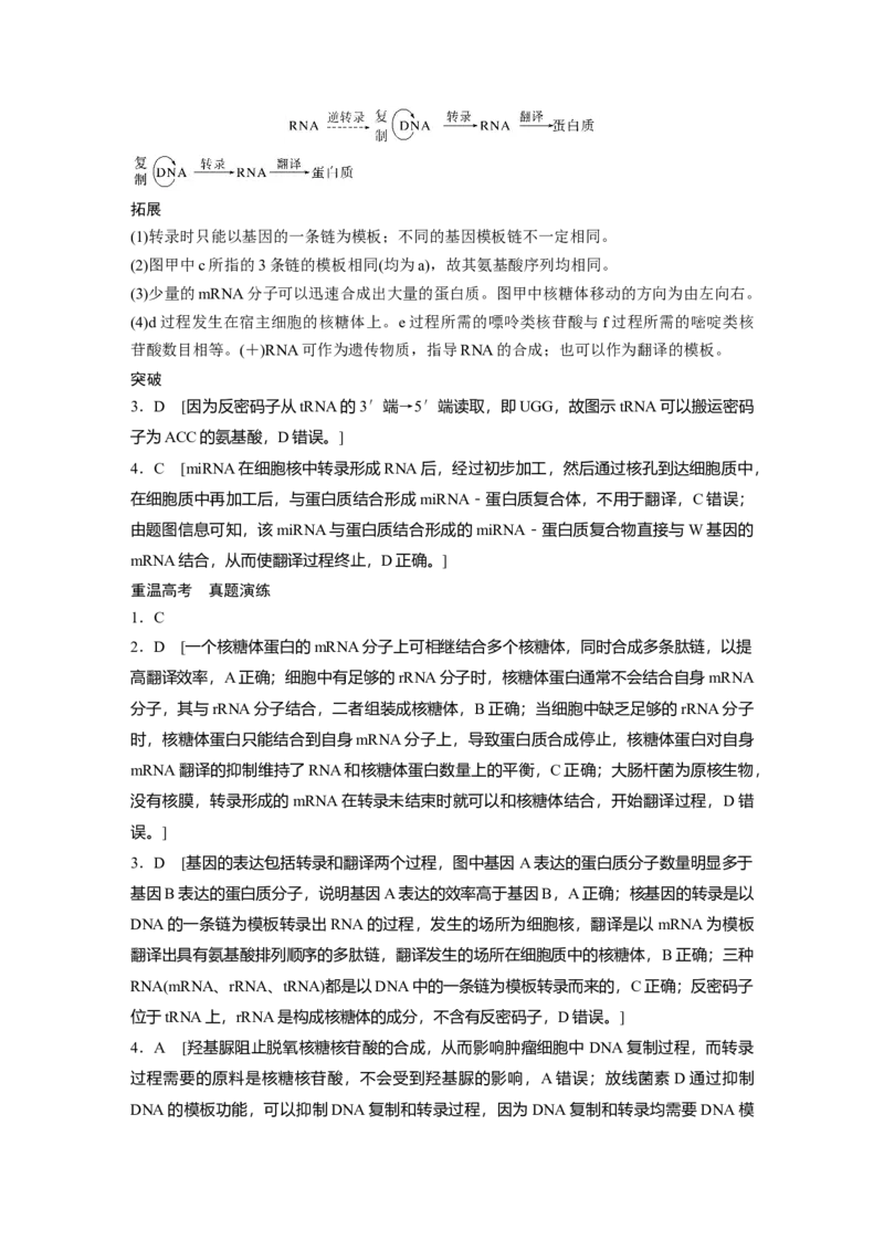 大一轮复习讲义答案精析_2024年新高考资料_1.2024一轮复习_2024年高考生物一轮复习讲义（新人教版）_学生版在此文件夹_答案精析