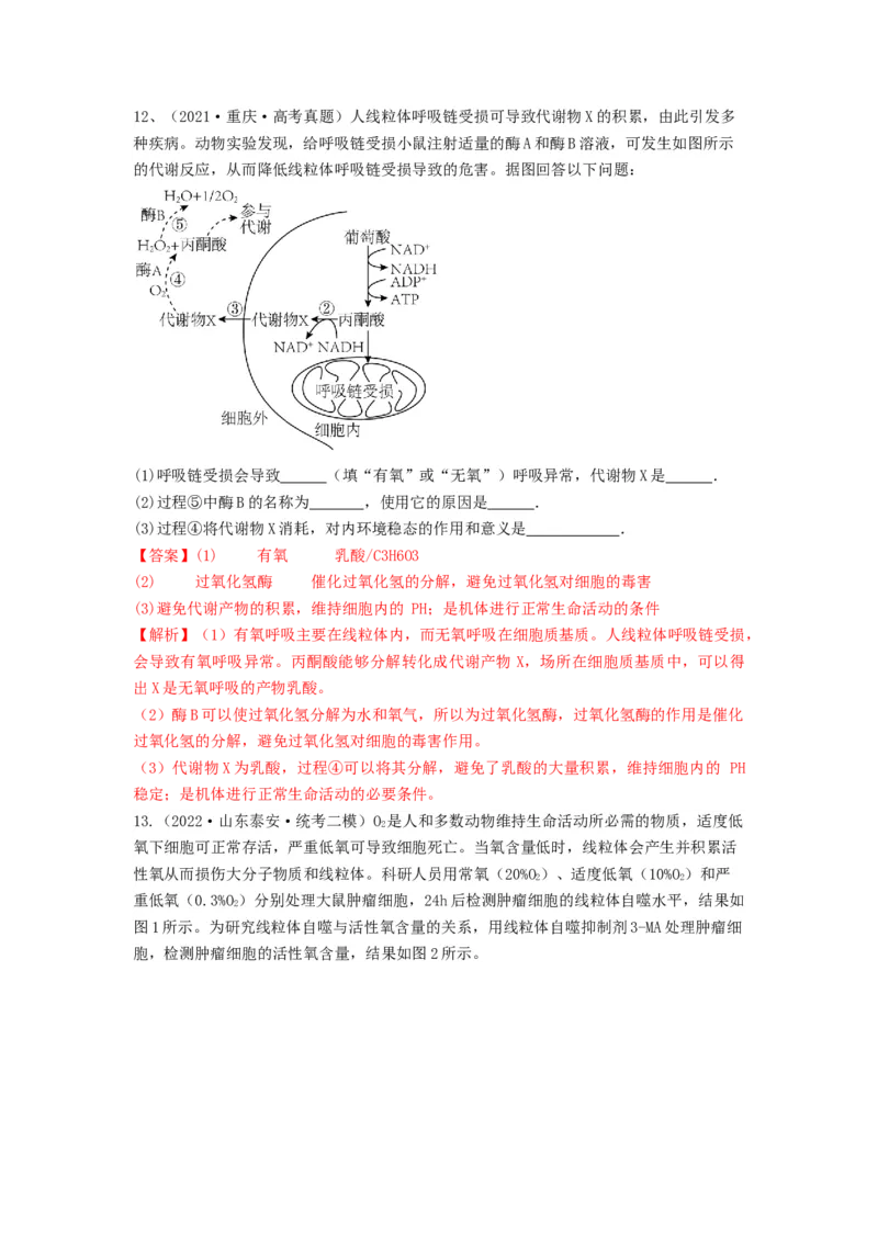 专题23人体的内环境与稳态（精练）（解析版）_2024年新高考资料_1.2024一轮复习_备战2024年高考生物一轮复习串讲精练（新高考专用）