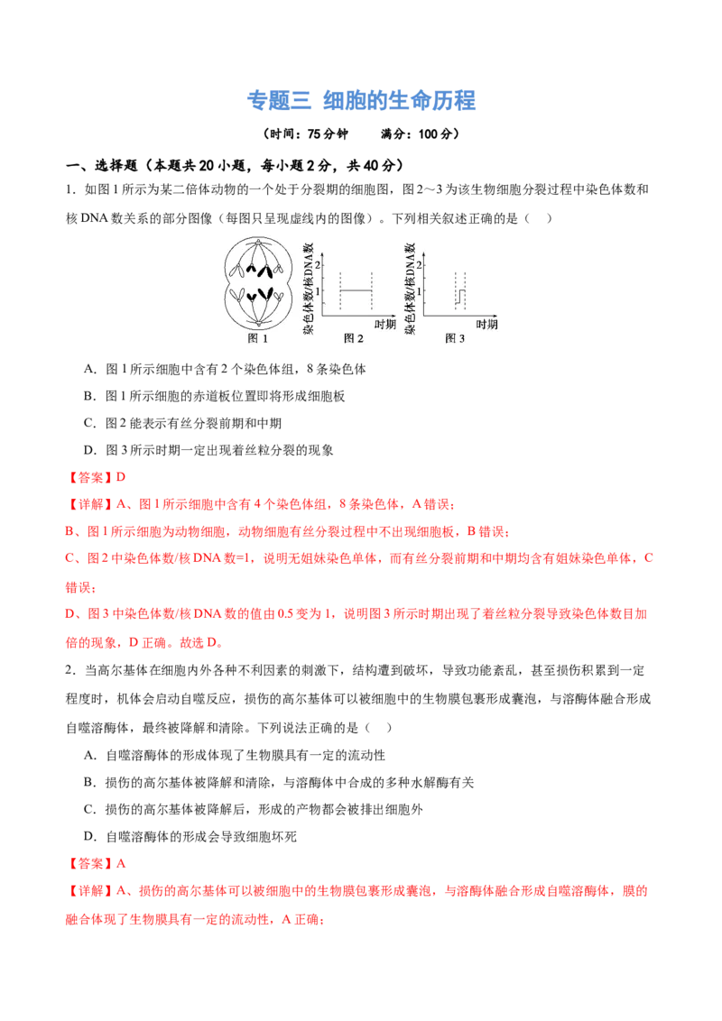 专题三细胞的生命历程（测试）（解析版）_2024年新高考资料_2.2024二轮复习_2024年高考生物二轮复习讲练测（新教材新高考）