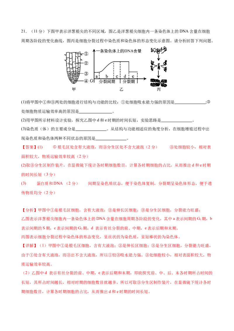 专题三细胞的生命历程（测试）（解析版）_2024年新高考资料_2.2024二轮复习_2024年高考生物二轮复习讲练测（新教材新高考）