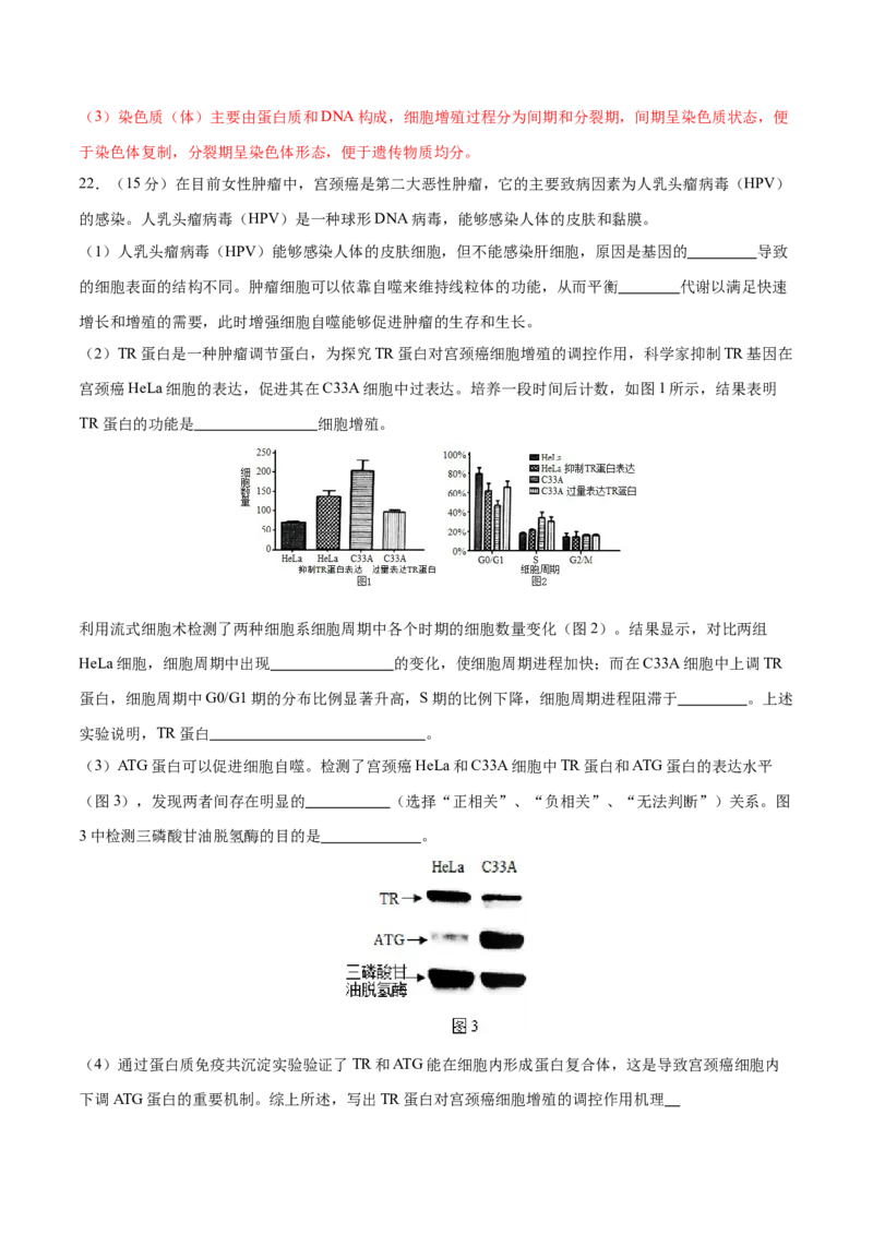 专题三细胞的生命历程（测试）（解析版）_2024年新高考资料_2.2024二轮复习_2024年高考生物二轮复习讲练测（新教材新高考）