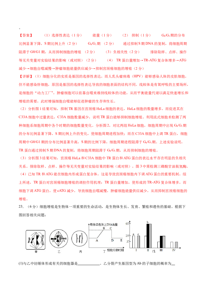 专题三细胞的生命历程（测试）（解析版）_2024年新高考资料_2.2024二轮复习_2024年高考生物二轮复习讲练测（新教材新高考）