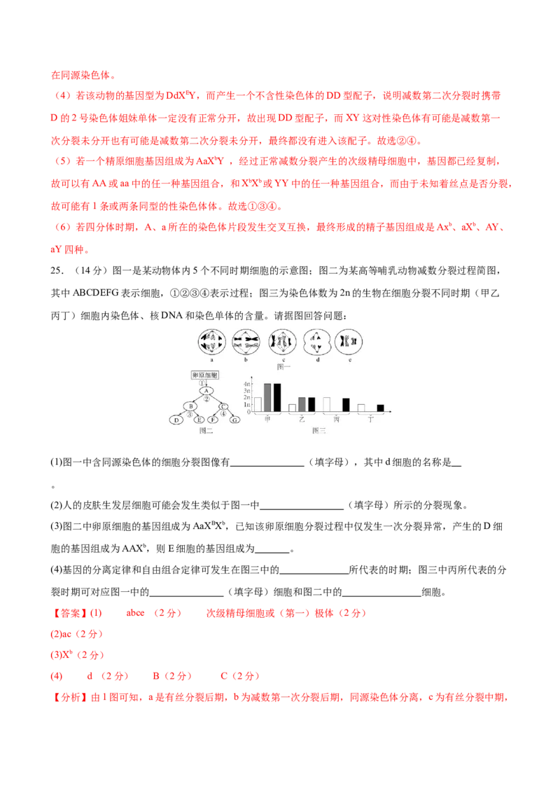 专题三细胞的生命历程（测试）（解析版）_2024年新高考资料_2.2024二轮复习_2024年高考生物二轮复习讲练测（新教材新高考）
