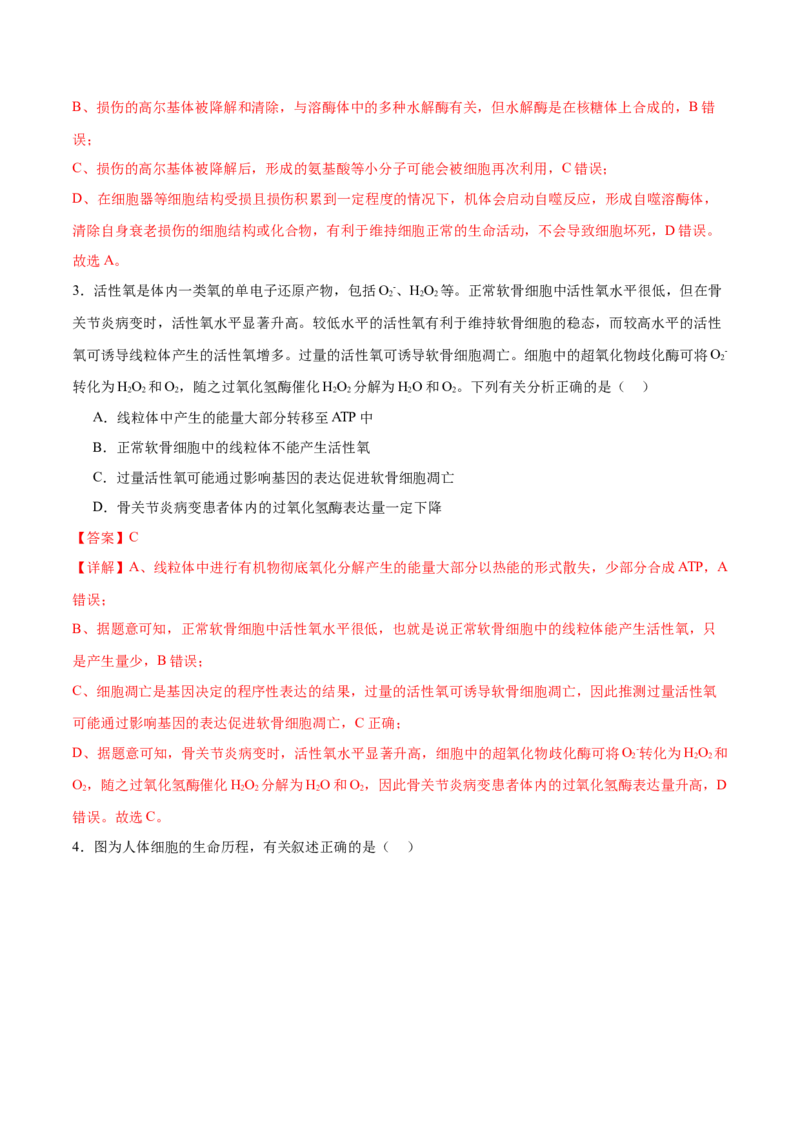 专题三细胞的生命历程（测试）（解析版）_2024年新高考资料_2.2024二轮复习_2024年高考生物二轮复习讲练测（新教材新高考）