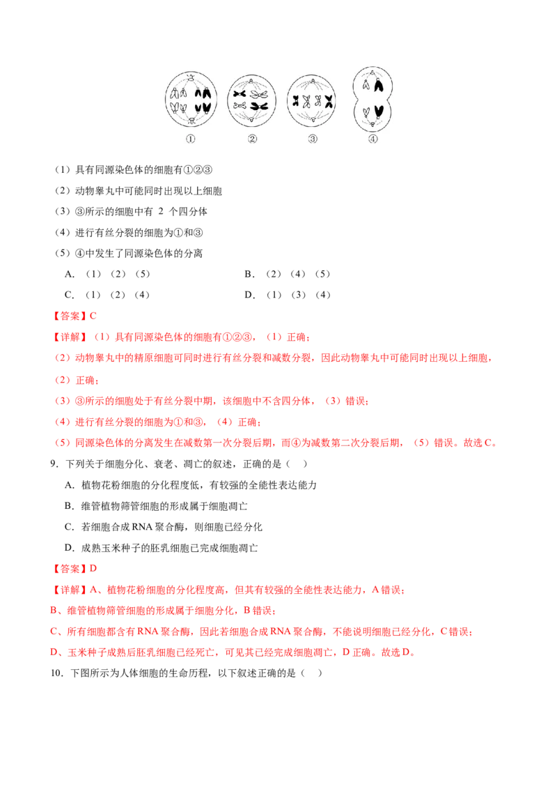 专题三细胞的生命历程（测试）（解析版）_2024年新高考资料_2.2024二轮复习_2024年高考生物二轮复习讲练测（新教材新高考）
