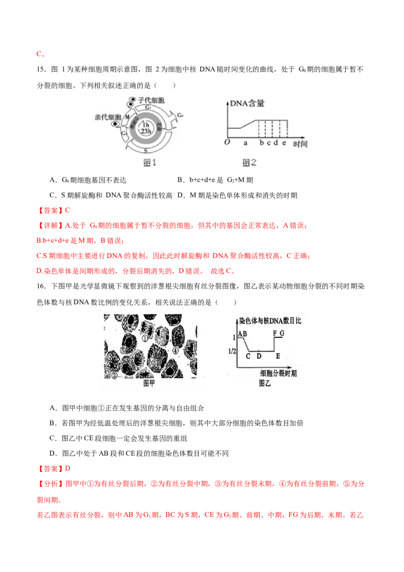 专题三细胞的生命历程（测试）（解析版）_2024年新高考资料_2.2024二轮复习_2024年高考生物二轮复习讲练测（新教材新高考）