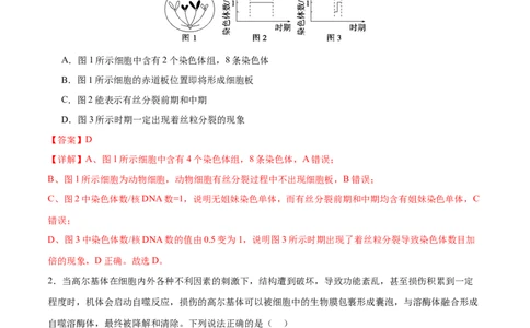专题三细胞的生命历程（测试）（解析版）_2024年新高考资料_2.2024二轮复习_2024年高考生物二轮复习讲练测（新教材新高考）