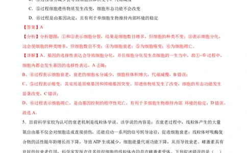 专题三细胞的生命历程（测试）（解析版）_2024年新高考资料_2.2024二轮复习_2024年高考生物二轮复习讲练测（新教材新高考）