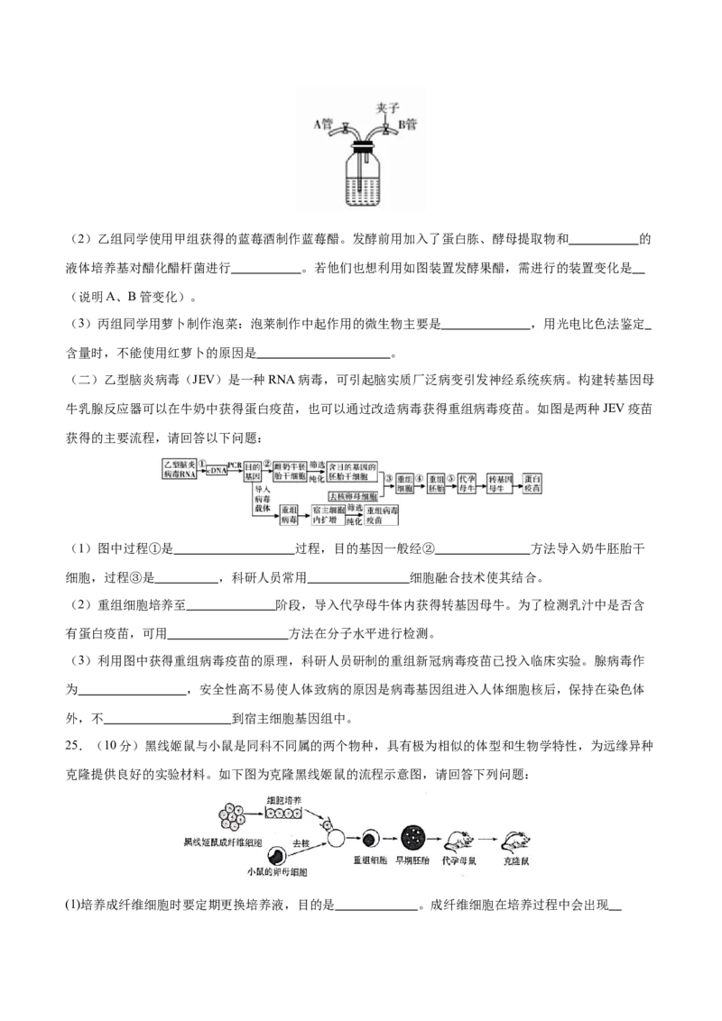 专题八生物技术与工程（测试）（原卷版）_2024年新高考资料_2.2024二轮复习_2024年高考生物二轮复习讲练测（新教材新高考）