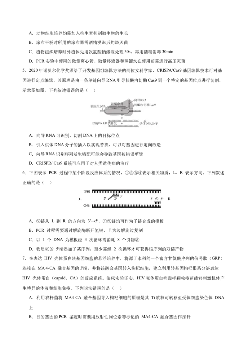 专题八生物技术与工程（测试）（原卷版）_2024年新高考资料_2.2024二轮复习_2024年高考生物二轮复习讲练测（新教材新高考）