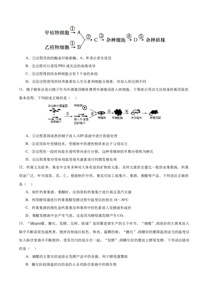 专题八生物技术与工程（测试）（原卷版）_2024年新高考资料_2.2024二轮复习_2024年高考生物二轮复习讲练测（新教材新高考）