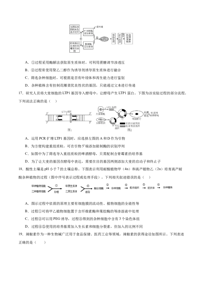 专题八生物技术与工程（测试）（原卷版）_2024年新高考资料_2.2024二轮复习_2024年高考生物二轮复习讲练测（新教材新高考）