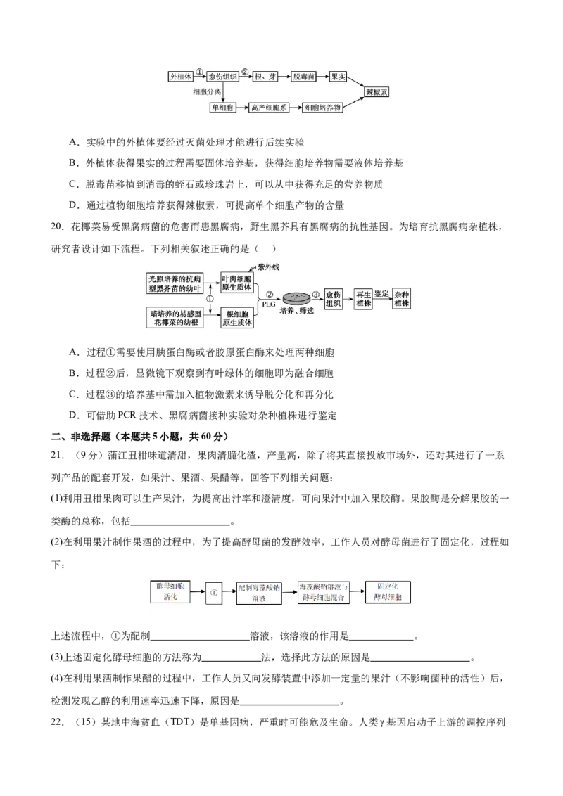 专题八生物技术与工程（测试）（原卷版）_2024年新高考资料_2.2024二轮复习_2024年高考生物二轮复习讲练测（新教材新高考）