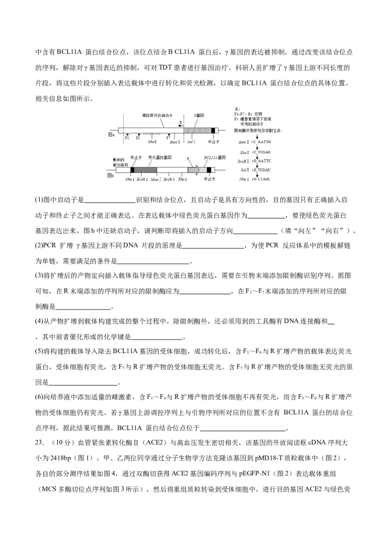 专题八生物技术与工程（测试）（原卷版）_2024年新高考资料_2.2024二轮复习_2024年高考生物二轮复习讲练测（新教材新高考）