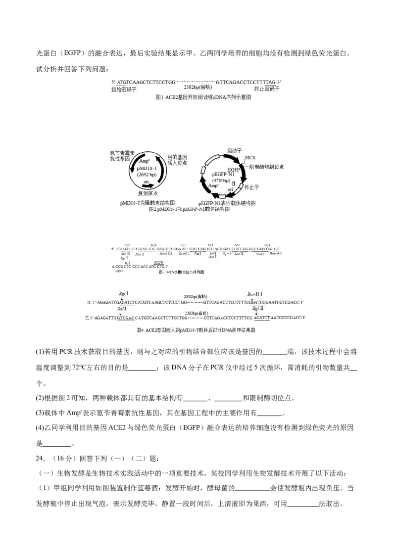 专题八生物技术与工程（测试）（原卷版）_2024年新高考资料_2.2024二轮复习_2024年高考生物二轮复习讲练测（新教材新高考）