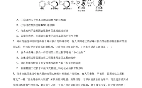 专题八生物技术与工程（测试）（原卷版）_2024年新高考资料_2.2024二轮复习_2024年高考生物二轮复习讲练测（新教材新高考）