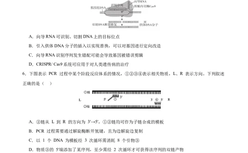 专题八生物技术与工程（测试）（原卷版）_2024年新高考资料_2.2024二轮复习_2024年高考生物二轮复习讲练测（新教材新高考）