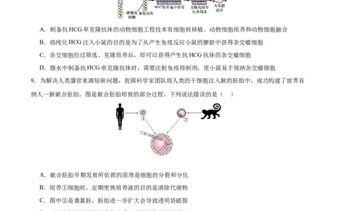 专题八生物技术与工程（测试）（原卷版）_2024年新高考资料_2.2024二轮复习_2024年高考生物二轮复习讲练测（新教材新高考）