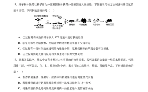 专题八生物技术与工程（测试）（原卷版）_2024年新高考资料_2.2024二轮复习_2024年高考生物二轮复习讲练测（新教材新高考）