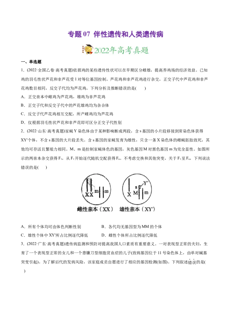 专题07伴性遗传和人类遗传病-2022年高考真题和模拟题生物分专题训练（学生版）_2024年新高考资料_1.2024一轮复习_赠2022年高考生物真题与模拟题分类