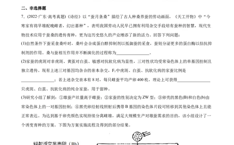 专题07伴性遗传和人类遗传病-2022年高考真题和模拟题生物分专题训练（学生版）_2024年新高考资料_1.2024一轮复习_赠2022年高考生物真题与模拟题分类