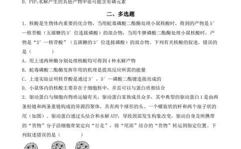 专题01细胞的分子组成（原卷版）_2024年新高考资料_3.2024专项复习_备战2024年高考生物一轮复习重难点突破讲解与训练（新教材）