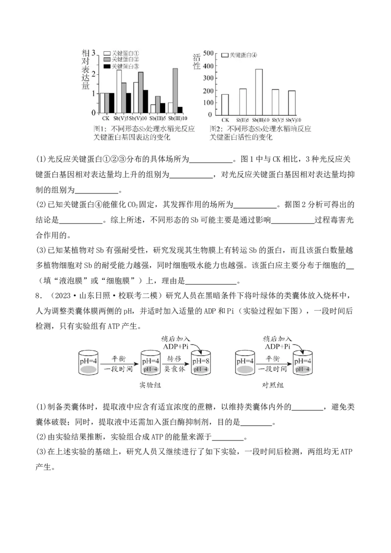 专题06细胞代谢（原卷版）_2024年新高考资料_2.2024二轮复习_2024年高考生物二轮热点题型归纳与变式演练（新高考通用）