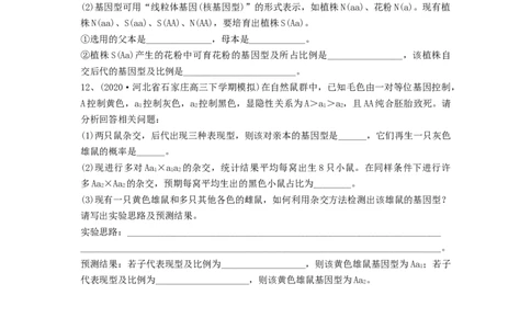 专题14基因的分离定律（精练）（原卷版）_2024年新高考资料_1.2024一轮复习_备战2024年高考生物一轮复习串讲精练（新高考专用）