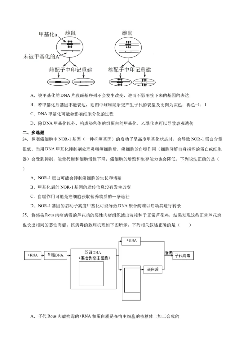 专题22基因的表达、基因与性状的关系（原卷版)_2024年新高考资料_3.2024专项复习_备战2024年高考生物一轮复习重难点专项突破