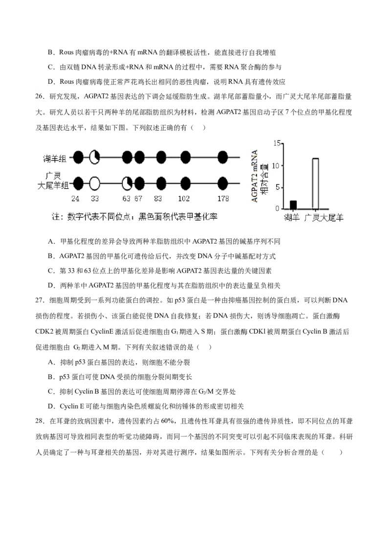 专题22基因的表达、基因与性状的关系（原卷版)_2024年新高考资料_3.2024专项复习_备战2024年高考生物一轮复习重难点专项突破