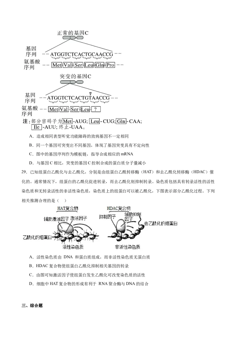 专题22基因的表达、基因与性状的关系（原卷版)_2024年新高考资料_3.2024专项复习_备战2024年高考生物一轮复习重难点专项突破