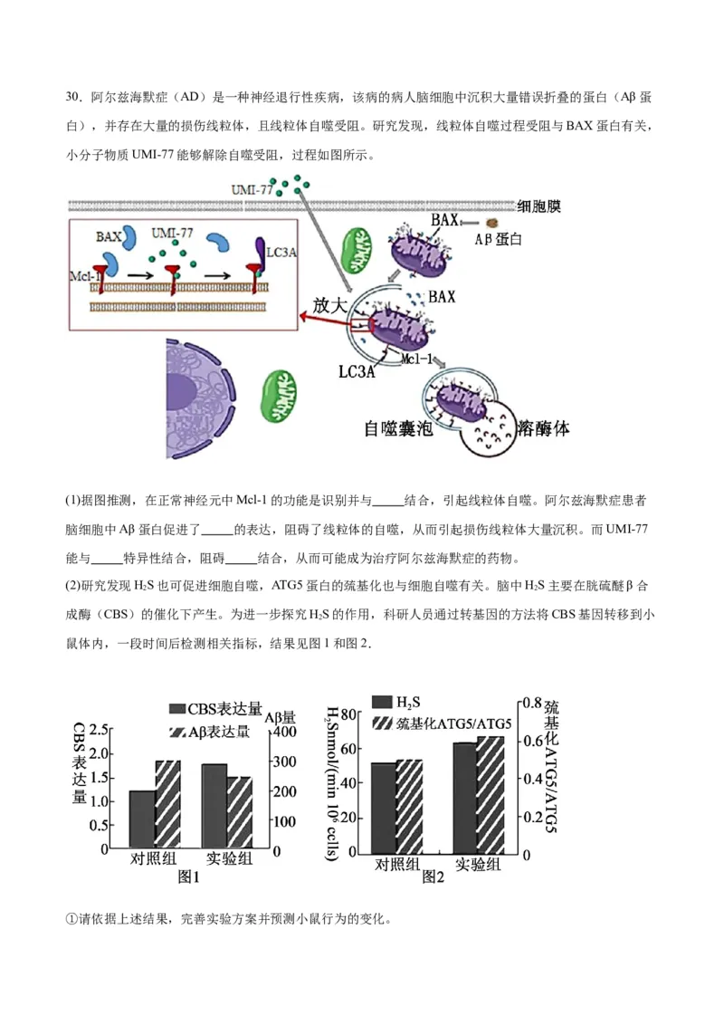 专题22基因的表达、基因与性状的关系（原卷版)_2024年新高考资料_3.2024专项复习_备战2024年高考生物一轮复习重难点专项突破