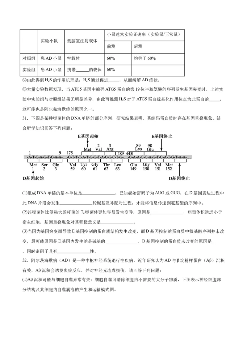 专题22基因的表达、基因与性状的关系（原卷版)_2024年新高考资料_3.2024专项复习_备战2024年高考生物一轮复习重难点专项突破