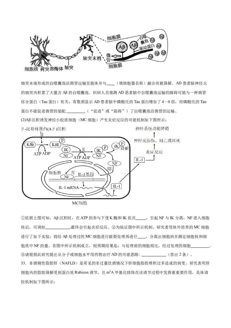 专题22基因的表达、基因与性状的关系（原卷版)_2024年新高考资料_3.2024专项复习_备战2024年高考生物一轮复习重难点专项突破