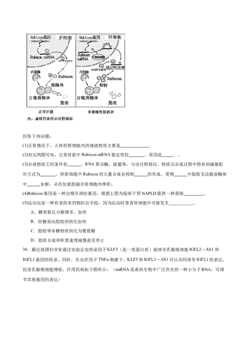 专题22基因的表达、基因与性状的关系（原卷版)_2024年新高考资料_3.2024专项复习_备战2024年高考生物一轮复习重难点专项突破